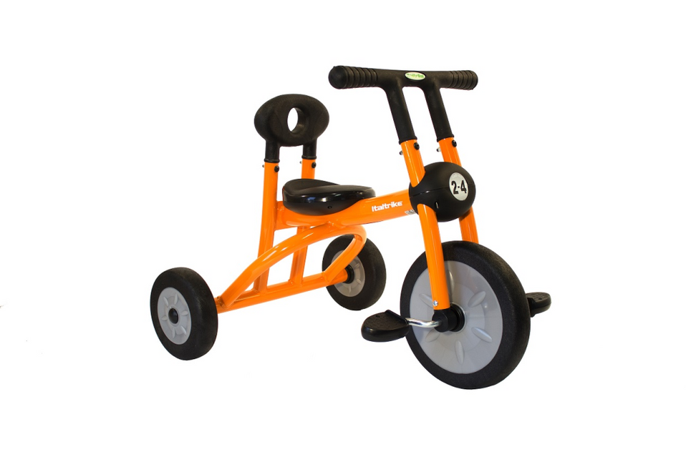 Italtrike Professioneel Pilot 200 Driewieler Dynamic - 2-4 jaar bij Fietstotaal
