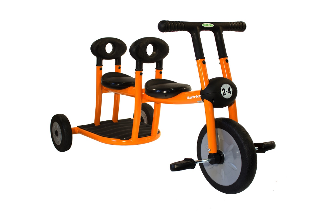 Italtrike Professioneel Pilot 200 Duo-Driewieler Dynamic - 2-4 jaar bij Fietstotaal