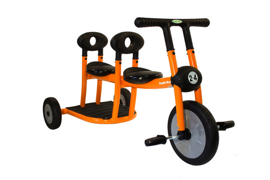 Italtrike Professioneel Pilot 200 Duo-Driewieler Dynamic - 2-4 jaar bij Fietstotaal